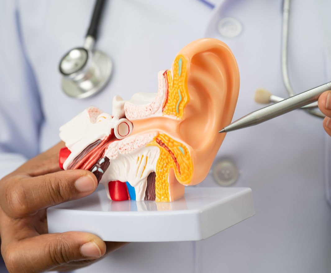 Common ENT Procedures at Optimus Hospital